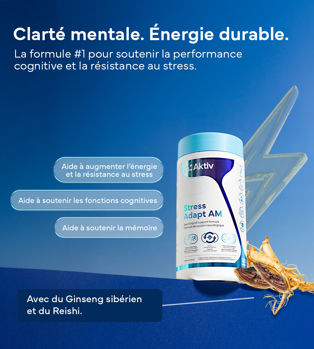 Image of Duo: Stress & Récupération